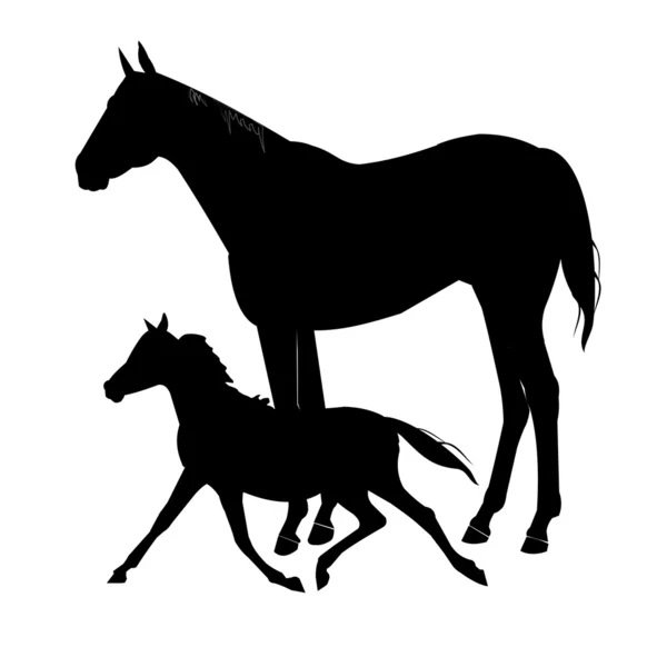 Mare and her colt in silhouette — Stock Vector