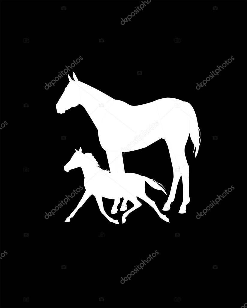 Mare and colt in white over black