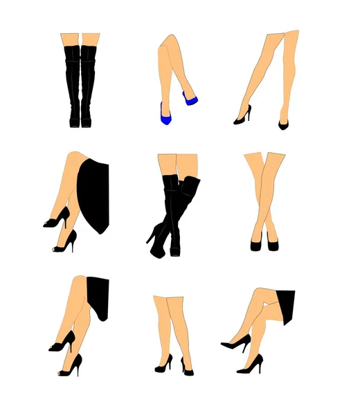 conjunto de personas piernas en vistoso medias. mujer piernas diferente  piel color en lana o algodón calcetines 21748175 Vector en Vecteezy