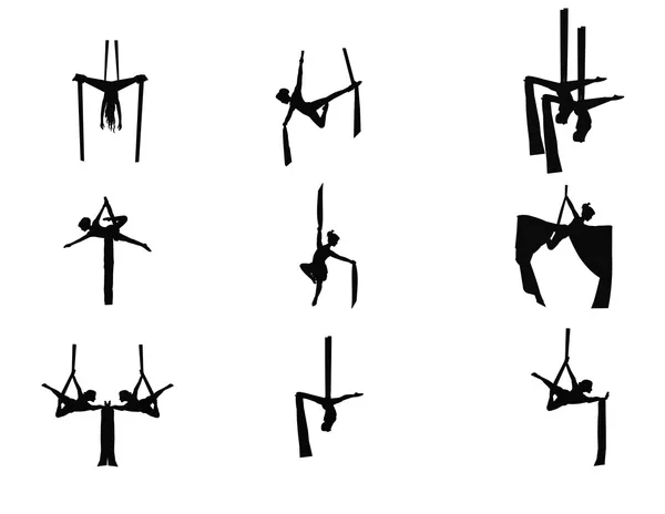 Antenne Seidentänzer in Silhouette — Stockvektor