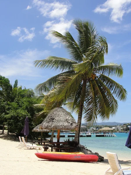 SPIAGGIA DEL PALM — Foto Stock