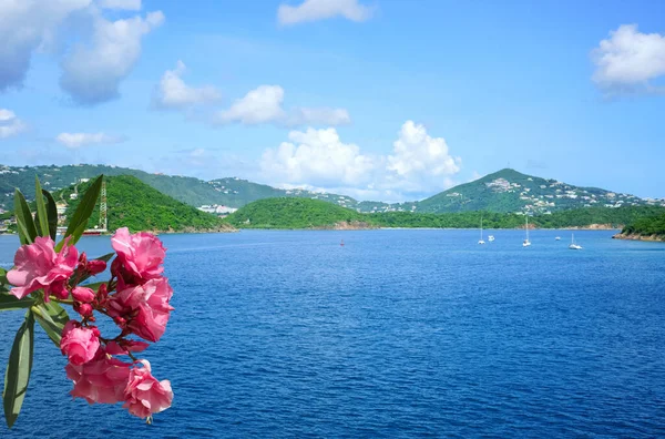 Vista Thomas Isole Vergini Americane — Foto Stock