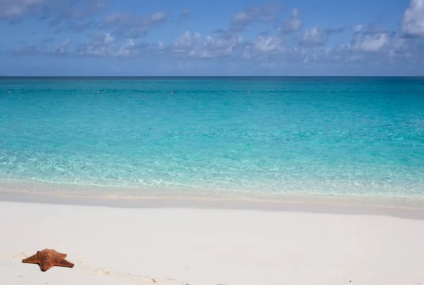 Paradise Beach Costa Bahamas Nassau — Foto de Stock