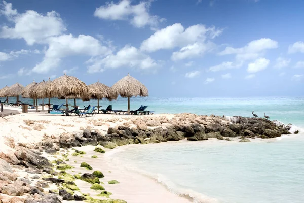 Playa Águila Aruba — Foto de Stock