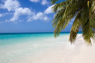 Grand Cayman Beach'te yedi mil