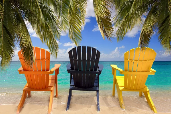 Three Colorful Beach Chairs Palm Branches —  Fotos de Stock