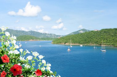 St. Thomas Adası, USVI