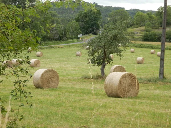 Hay bags — 图库照片