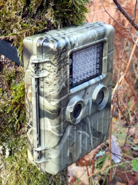 Trail Camera