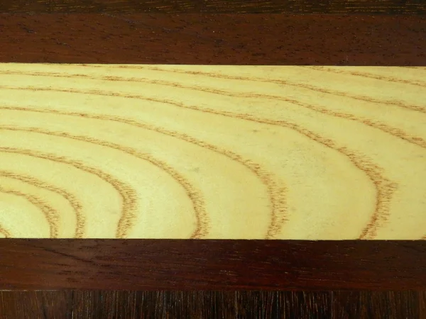 Suelo de madera con paneles — Foto de Stock