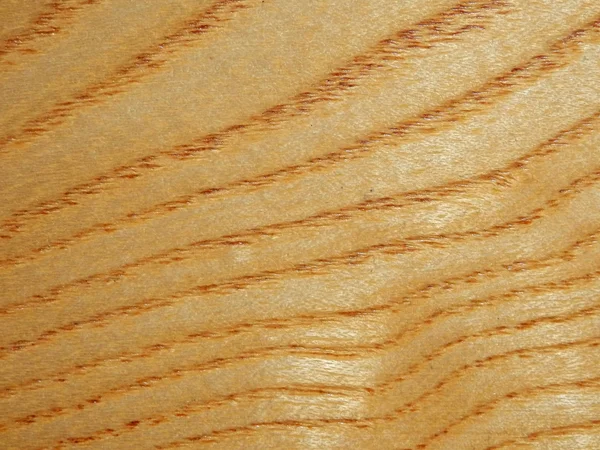 Legno di olmo — Foto Stock