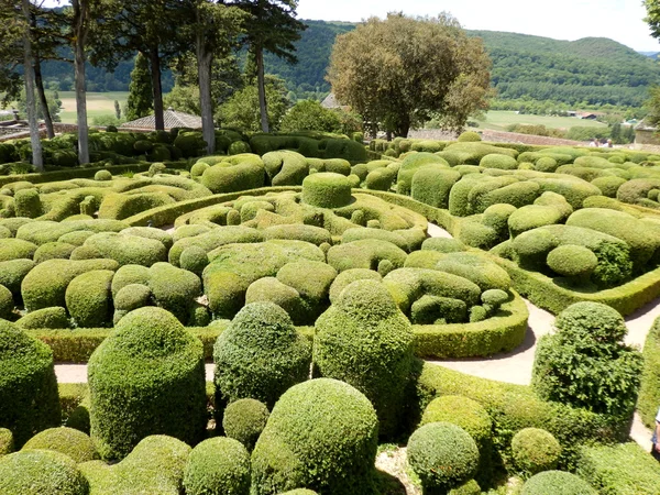 Fransk topiary Garden – stockfoto