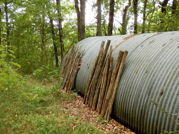 Metal werpen in het bos — Stockfoto