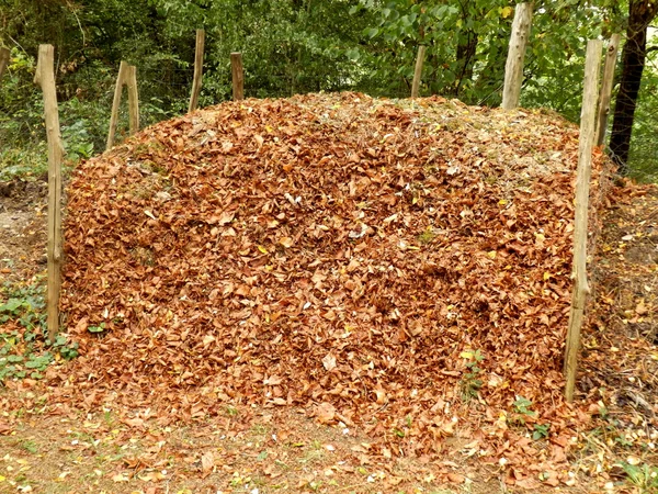 Komposthaufen — Stockfoto