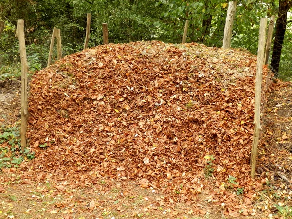 Compostagem heap — Fotografia de Stock