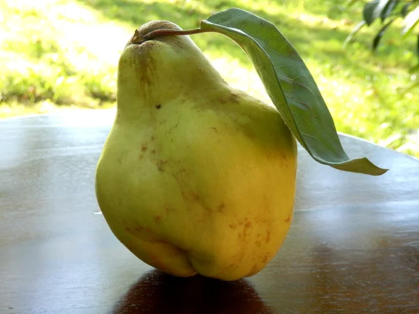 Quince. —  Fotos de Stock