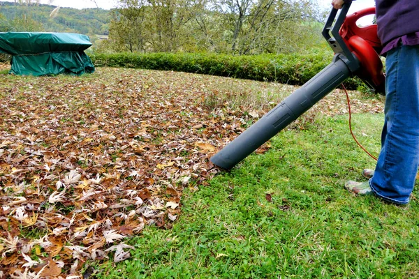 Herfstbladeren Die Het Mondstuk Van Een Bladblazer Zuigmachine Worden Gezogen — Stockfoto