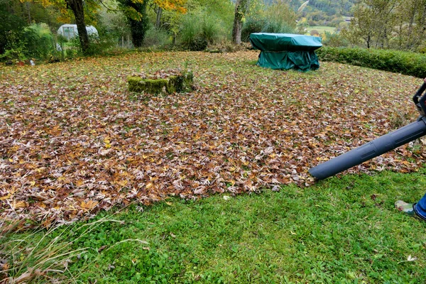Herbstblätter Werden Die Düse Eines Laubbläsers Gesaugt Saugmaschine — Stockfoto