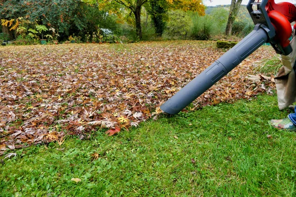 Autumn Leaves Being Sucked Nozzle Leaf Blower Suction Machin — Stock Photo, Image