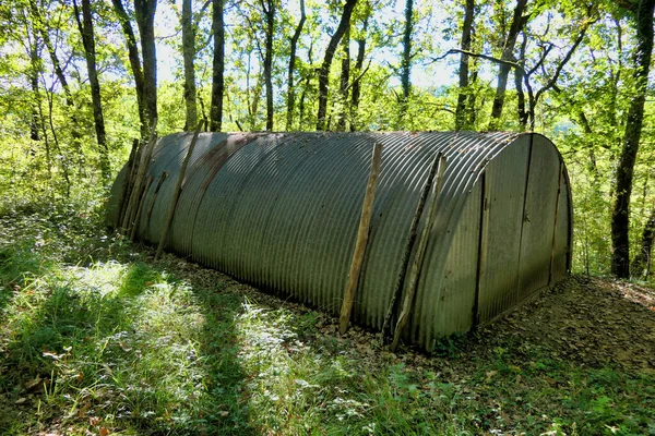 Metalen Schuurtje Verborgen Het Bos Aan Het Einde Van Een — Stockfoto