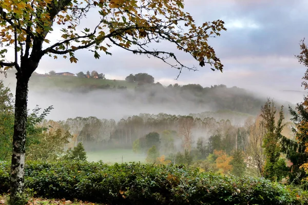 Early Morning Mist Autumn Dordogne France — Stock Photo, Image