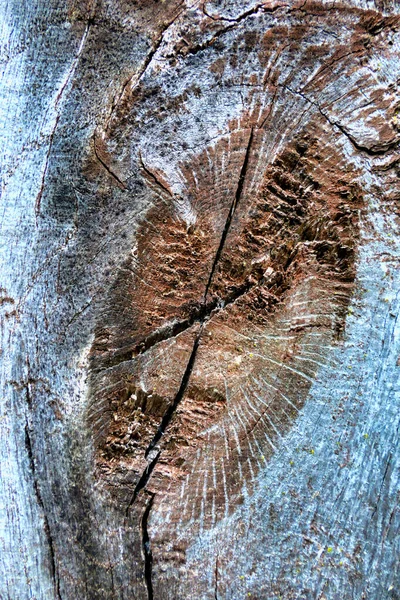 Close Knot Cracking Old Oak Post — Stock Photo, Image