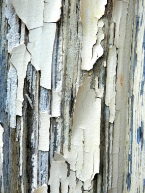 Dökülüyor ve eski bir kapıdan peeling boya