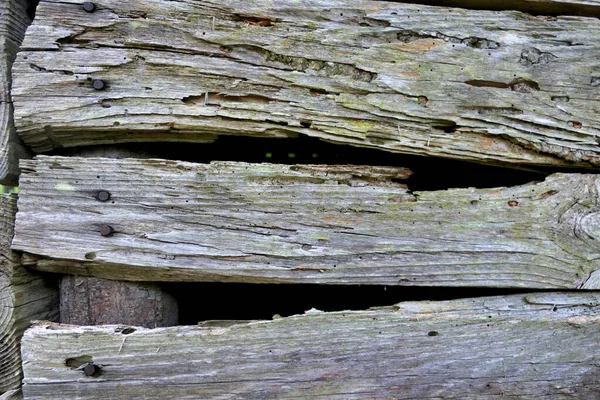 Rotten and broken boards from an old goat shed