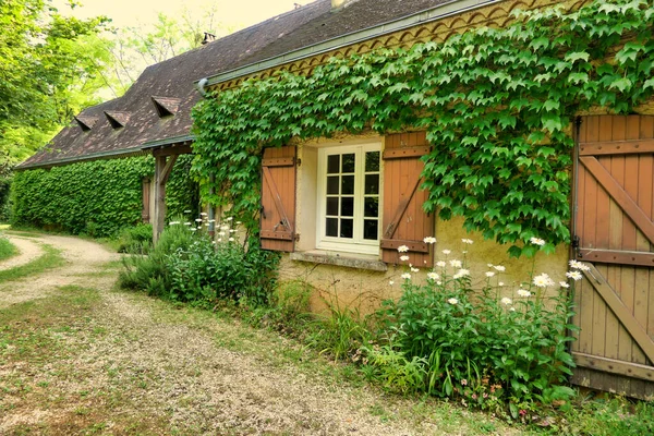 Tradiční Francouzské Farmářské Okno Starými Ošuntělými Okenicemi Obklopené Listy Virginia — Stock fotografie