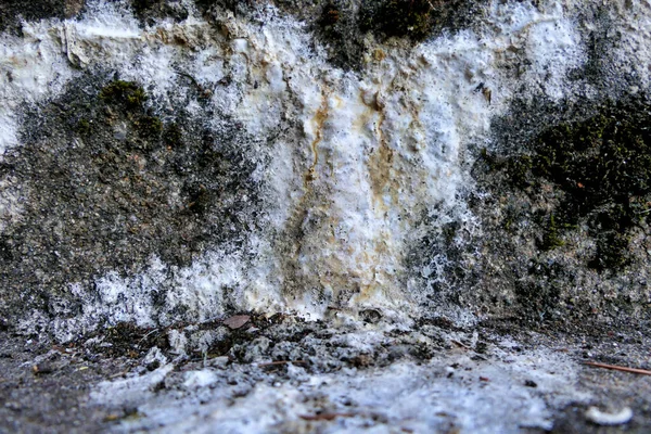 White Substance Oozing Concrete Steps Caused Salts Leeching Damp Concrete — Foto Stock