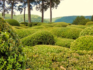 les jardins de marqueyssac dordogne, Fransa dan çim Bahçe