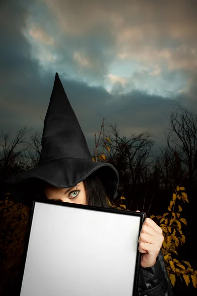 Ведьма с пустым баннером — стоковое фото
