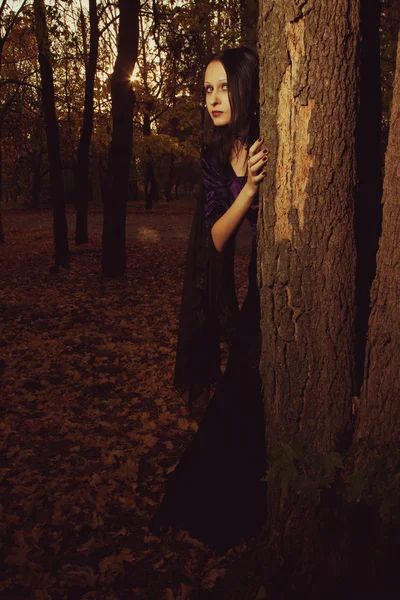 Jesienna melancholia — Zdjęcie stockowe