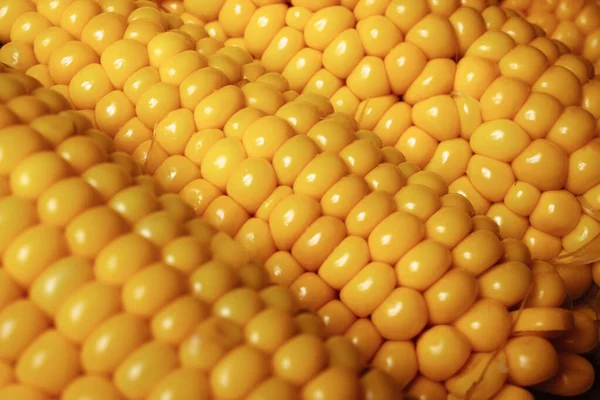 Closeup Shot Three Fresh Corns — Stock Photo, Image