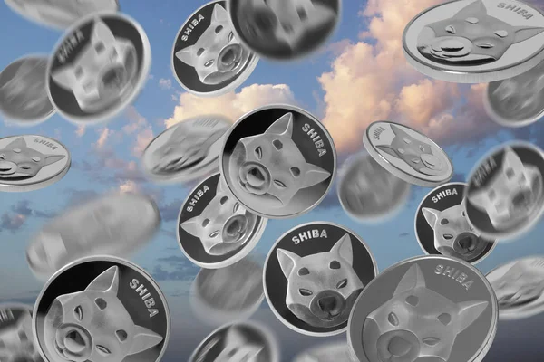 Много Шибских Монет Над Голубым Небом — стоковое фото