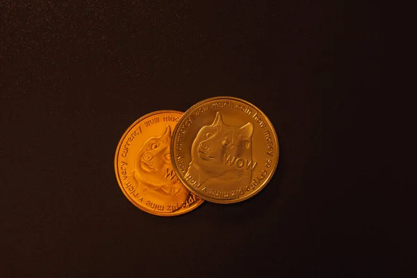 Zwei Hundemünzen Vor Dunklem Hintergrund lizenzfreie Stockbilder