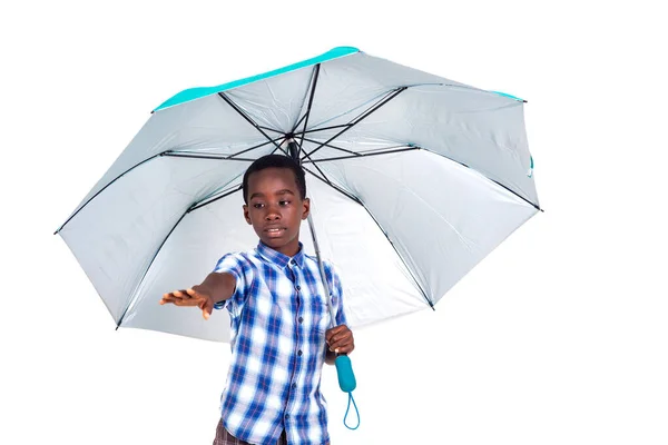 체크무늬 셔츠를 우산을 배경에 — 스톡 사진