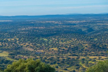 İspanya 'nın Extremadura eyaletindeki meyve bahçelerinin hava manzarası
