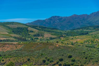 İspanya 'daki Sierra de Francia Milli Parkı Panoraması