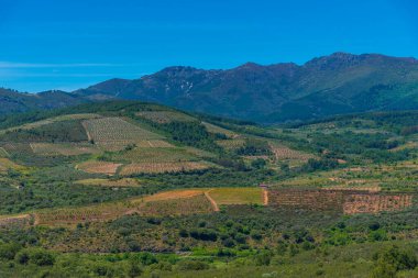 İspanya 'daki Sierra de Francia Milli Parkı Panoraması