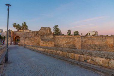 İspanya 'nın Merida kentindeki Alcazaba kalesine giden Guadiana nehri üzerindeki Roma köprüsünün günbatımı manzarası