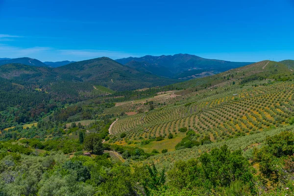 İspanya 'daki Sierra de Francia Milli Parkı Panoraması
