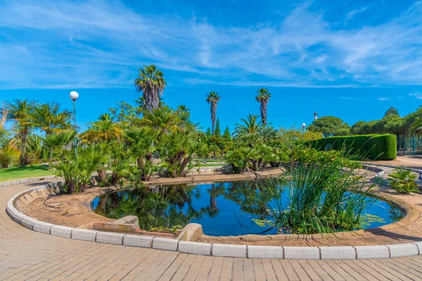 Botanik bahçesi Jose Celestino Mutis İspanya 'da La Rabida' da.