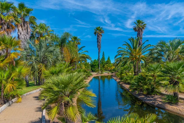 Botanischer Garten Jose Celestino Mutis Rabida Spanien — Stockfoto