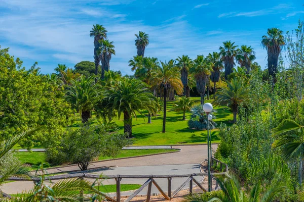 Botanisk Trädgård Jose Celestino Mutis Rabida Spanien — Stockfoto