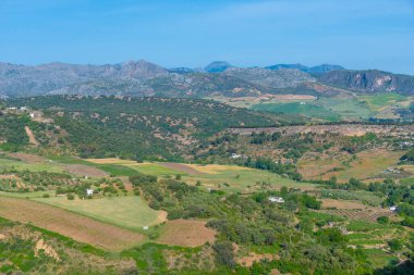 Endülüs kırsalında, İspanya 'da Ronda yakınlarında.