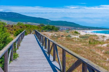 İspanya 'daki Playa de Bolonia Doğal Parkı
