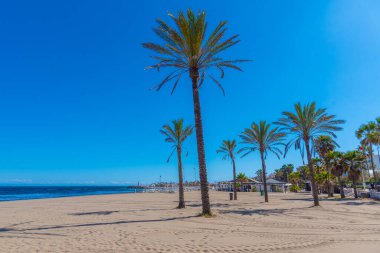 Palms at Playa de Venus at Marbella, İspanya