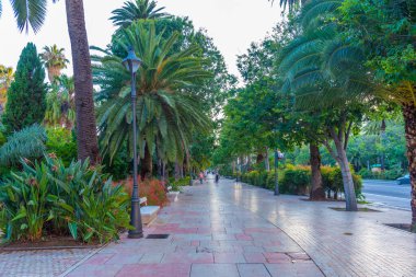 Paseo del Parque, Malaga, İspanya