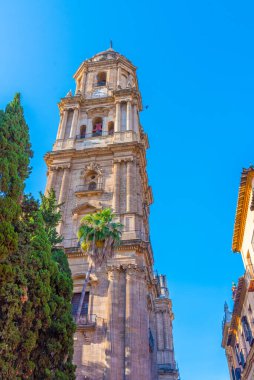 Malaga 'daki enkarnasyon katedralinin görüntüsü.